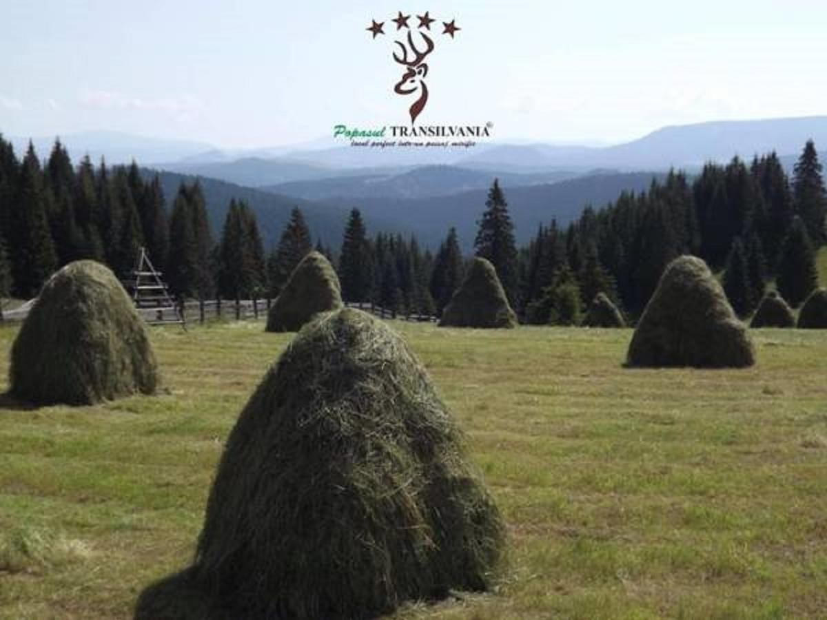 Popasul Transilvania Piatra Fantanele Exteriör bild